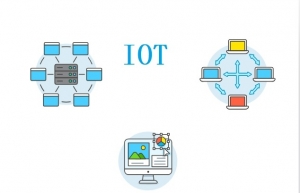       IoT