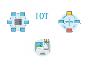       IoT