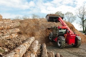  Manitou         