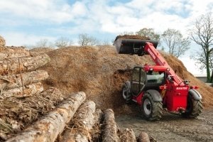  Manitou         