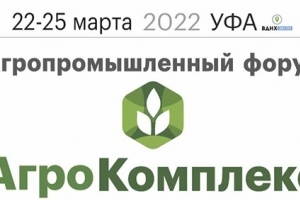       2022  