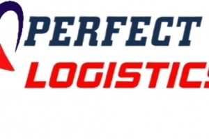 Perfectlog.ru