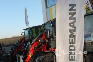   Weidemann