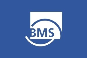 BMS Bau-Maschinen-Service AG