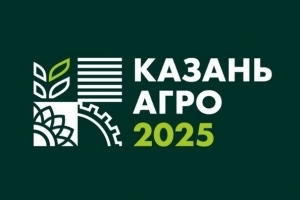    2025     